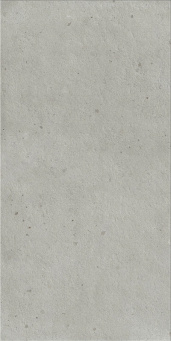 Avantgarde Silver 60x120 rett Х2 (600010002421)