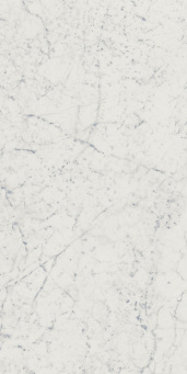 Charme Extra Carrara 60x120 nat (610010001194)