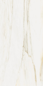 Stellaris Carrara Ivory 60x120 rett (610010002833)