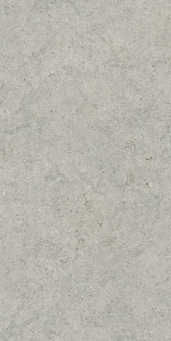 Forum Stone Silver 60x120 (610010004168)