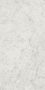 Charme Extra Carrara 60x120 lux (610015000368)