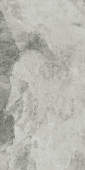 Charme Extra Silver 60x120 lux (610015000370)