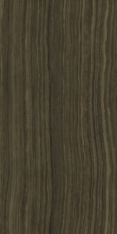 Surface Eramosa 60x120 lux (610015000386)