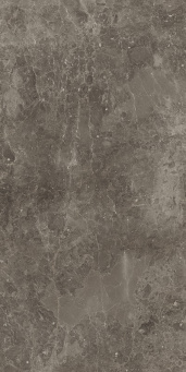 Room Stone Gray 60x120 pat (610015000423)