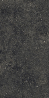 Room Stone Black 60x120 pat (610015000424)