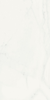 Charme Deluxe Bianco Michelangelo 40x80 (600010002257)
