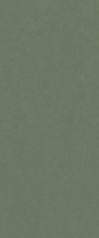 Surface Forest Green 50x120 rett (600010002445)