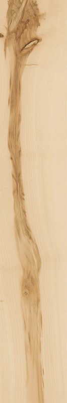 Element Acero 20x120 (610010001088)