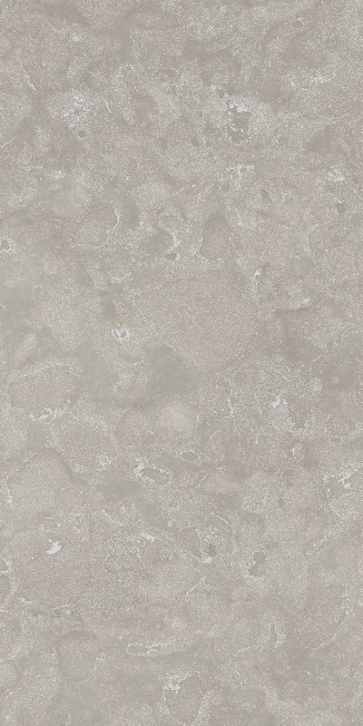 Voyadzher Gray 60x120 rett (610010002761)