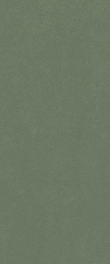 Surface Forest Green 50x120 rett (600010002445)