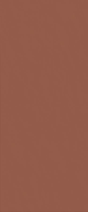 Surface Clay Red 50x120 rett (600010012168)